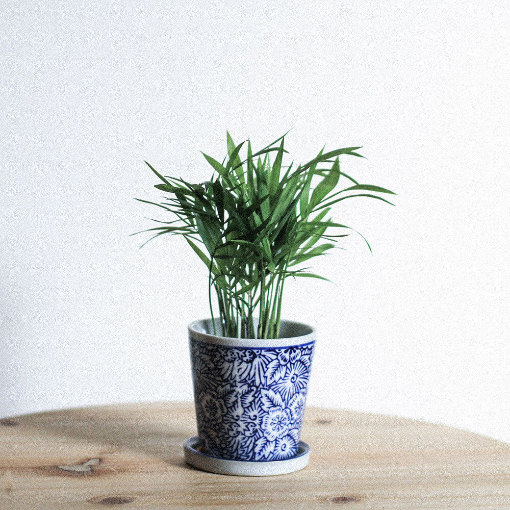 Product - 02 - Image 4